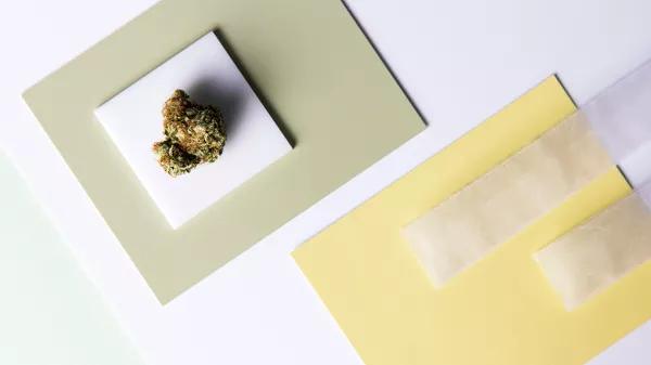 ¿Es la marihuana cada vez más potente? 