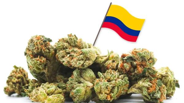 El Congreso de Colombia pone rumbo a la despenalización del cannabis 