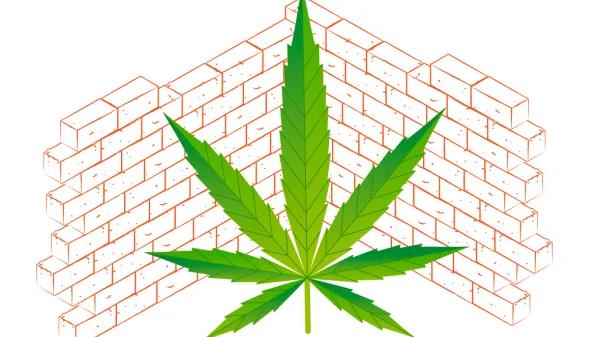 Hempcrete: soluciones ecológicas para un futuro sostenible