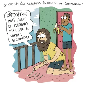 Supervivencia en confinamiento