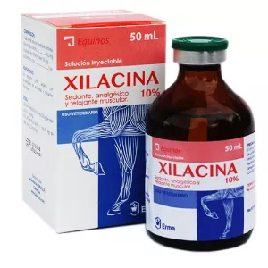Filadelfia identifica un aumento del uso de xilacina, un anestésico veterinario