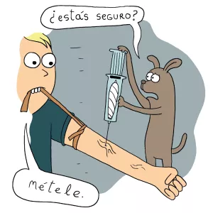 Porro en vena