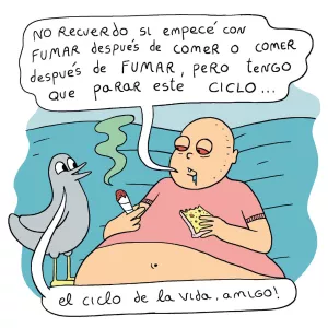 Ciclo de la vida