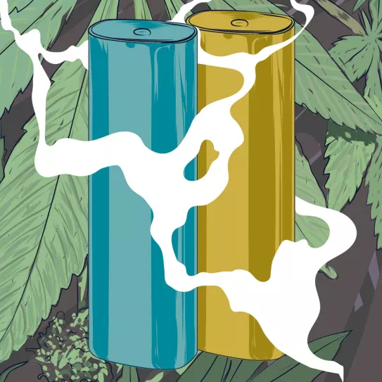 Vaporizadores