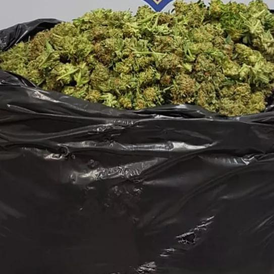 <blockquote class="twitter-tweet"><p lang="ca" dir="ltr">Un traficant es desplaça en patinet amb una bossa d&#39;escombraries on amagava 15 kg de marihuana al districte de Sant Martí (BCN). L&#39;enxampem i el detenim <a href="https://t.co/feK0dDLeOq">https://t.co/feK0dDLeOq</a> <a href="https://t.co/ORnWlJPs0r">pic.twitter.com/ORnWlJPs0r</a></p>&mdash; Mossos (@mossos) <a href="https://twitter.com/mossos/status/1262630916029059072?ref_src=twsrc%5Etfw">May 19, 2020</a></blockquote> <script async src="https: