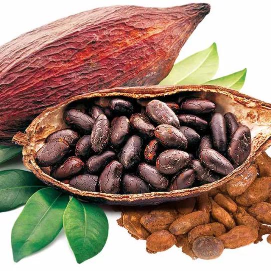¿El cacao es una sustancia psicoactiva?
