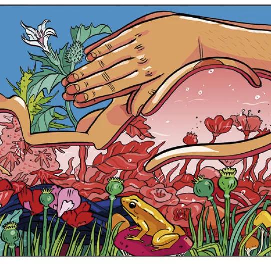 Ilustración: estados alterados de consciencia