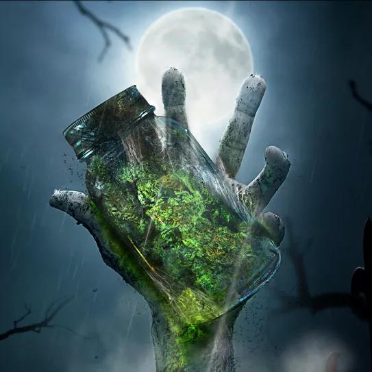 Variedades zombis y terroríficas para este Halloween