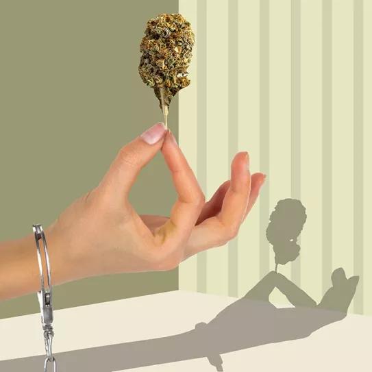 Washington D.C: Ley para animar a ex presidiarios a entrar en el negocio legal de cannabis