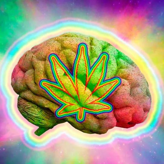 ¿La marihuana es la puerta a la creatividad?