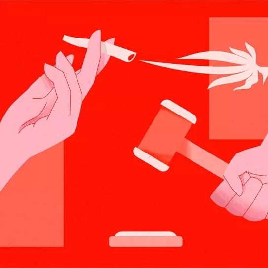 Incoherencias. Editorial Revista Cáñamo #275