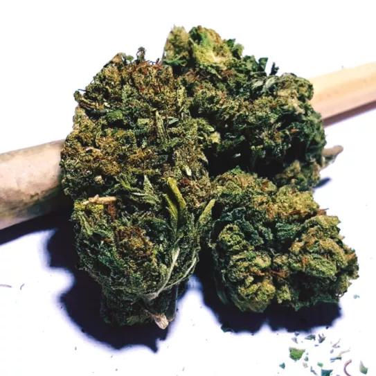 Las 100 mejores variedades de todos los tiempos que uno debe probar