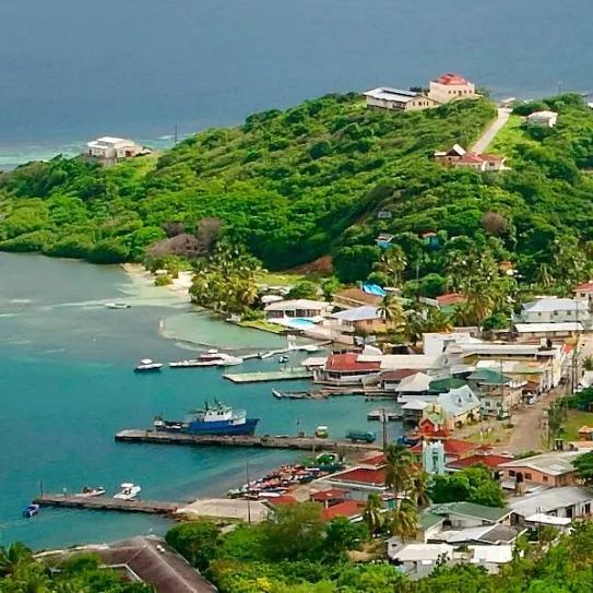 San Vicente y las Granadinas lanza un programa de investigación psicodélica