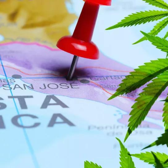 Costa Rica envía una ley del cannabis medicinal al Congreso 