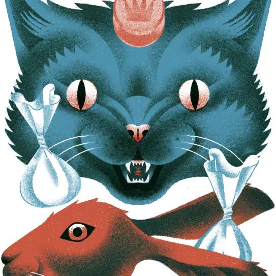 Gato por liebre 
