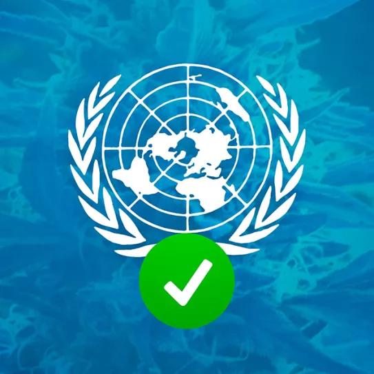 La ONU vota mañana varios cambios que facilitarían el uso de cannabis medicinal en todo el mundo