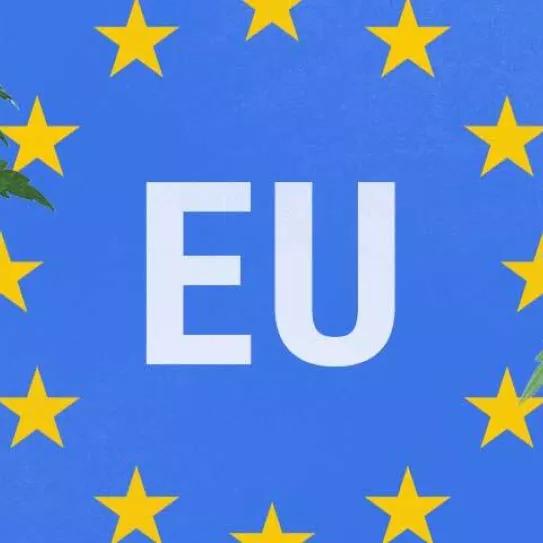 La Comisión Europea declara que el CBD puede venderse como alimento