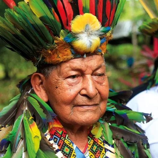 PEACEBUILDING PSICOTRÓPICO Transcender el trauma y el conflicto armado en la Amazonia Colombiana