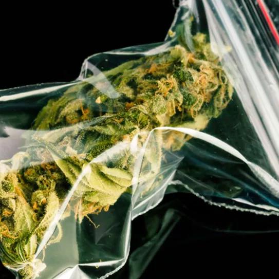 Otro territorio considera reducir las penas por llevar drogas: Nueva Gales del Sur 