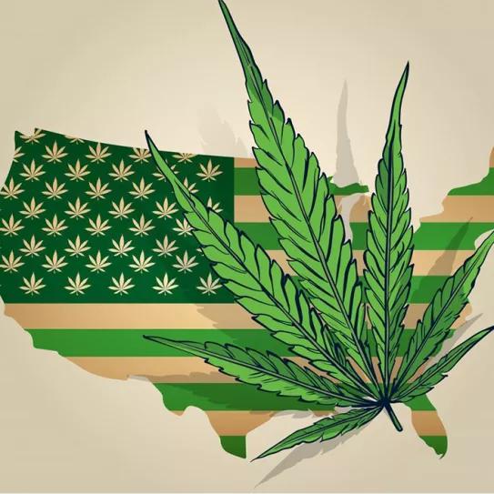 Siete estados más podrían regular el cannabis en 2021 en EE UU