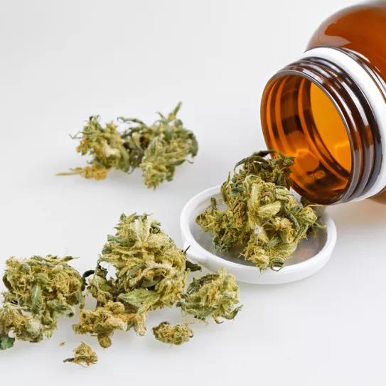 Un juez de Nuevo México declara que los condenados pueden usar cannabis medicinal 