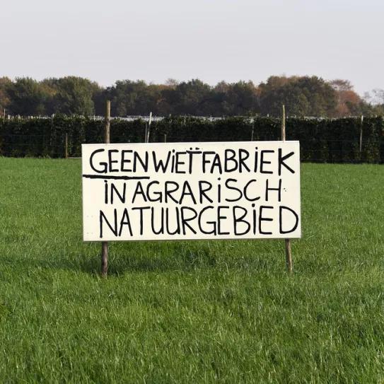 Grupos de vecinos protestan en Países Bajos contra la instalación de cultivos legales de cannabis