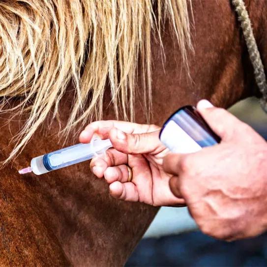 Filadelfia identifica un aumento del uso de xilacina, un anestésico veterinario 