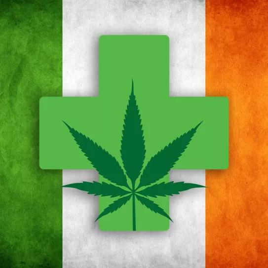 Irlanda inicia su programa de cannabis medicinal