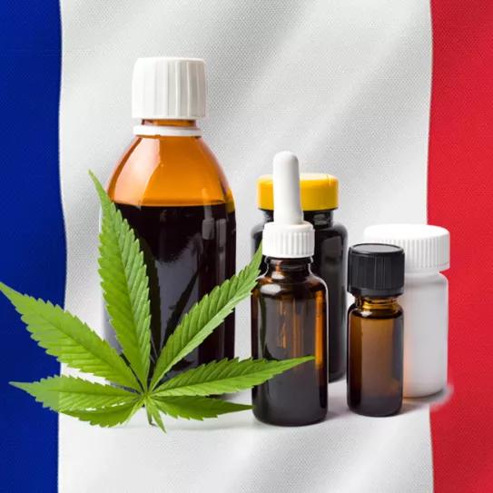 Un informe parlamentario recomienda regular el CBD en Francia para fomentar la industria 