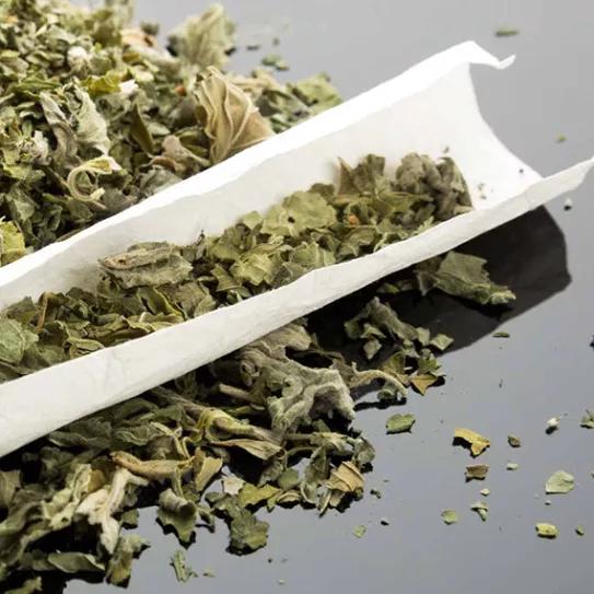 El Spice debería llamarse ‘neocannabinoide’ y no ‘cannabinoide sintético’, dice un investigador