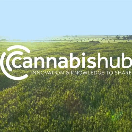 Presentan un centro para promover la investigación y producción de cáñamo