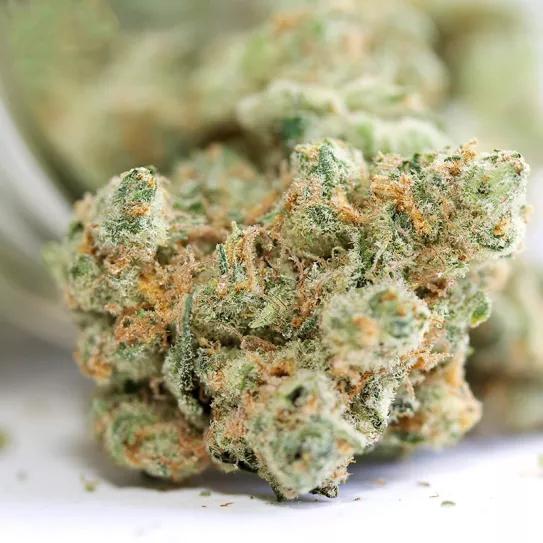 El Tribunal Federal de Justicia de Alemania dice que la venta de cogollos de CBD no es ilegal