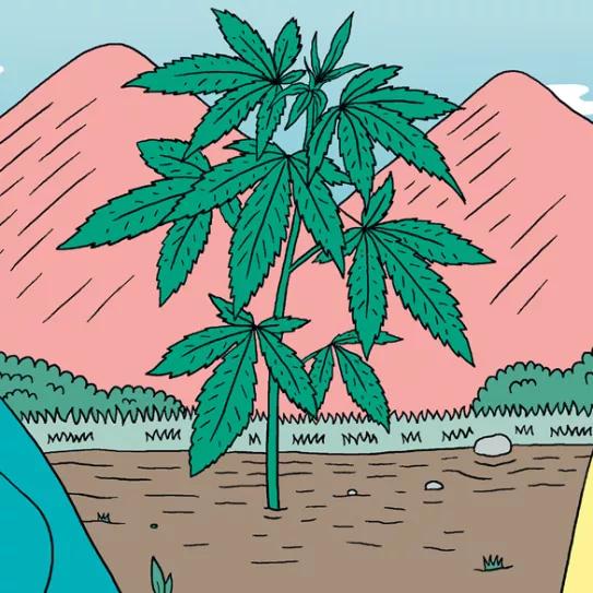 Once consejos para el crecimiento