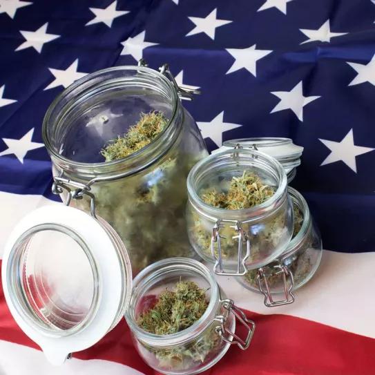 La regulación federal del cannabis en EE UU volverá a presentarse en el Congreso