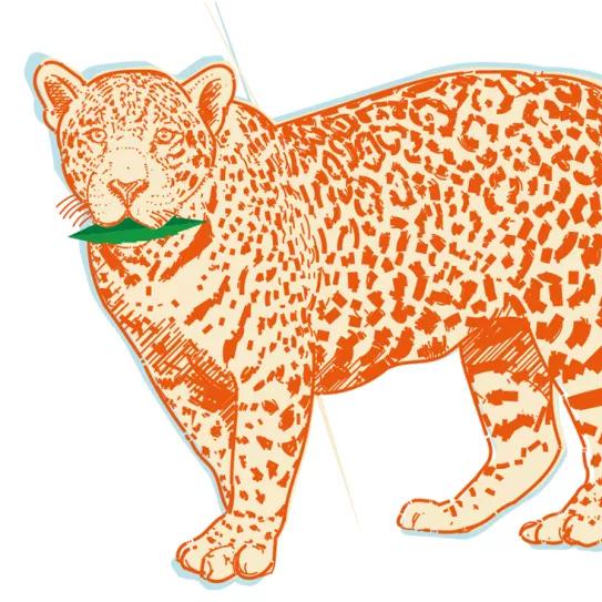 Tepoztlán