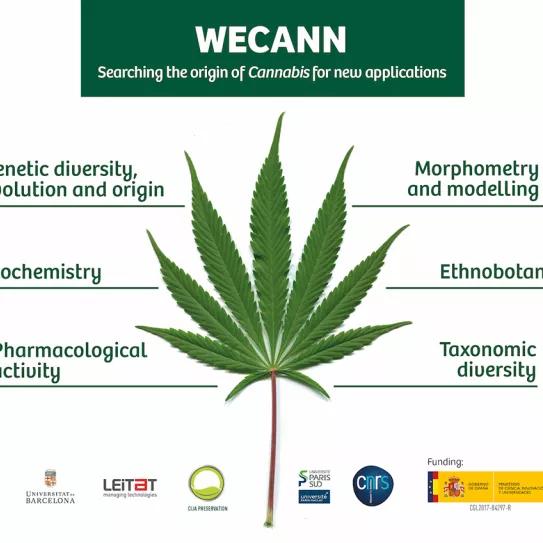 El Instituto Botánico de Barcelona programa un seminario sobre el cannabis