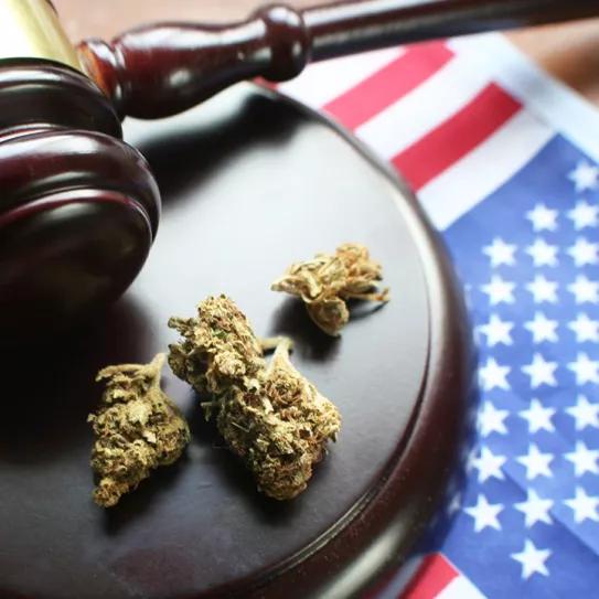El 66% de los estadounidenses apoya la despenalización de las drogas según una encuesta