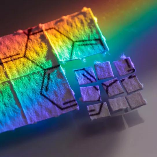 Harvard inaugura un centro de políticas sobre psicodélicos en su Facultad de Derecho