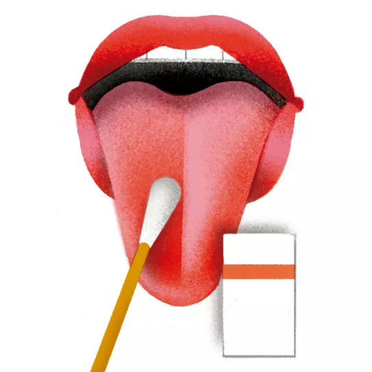 Test de saliva