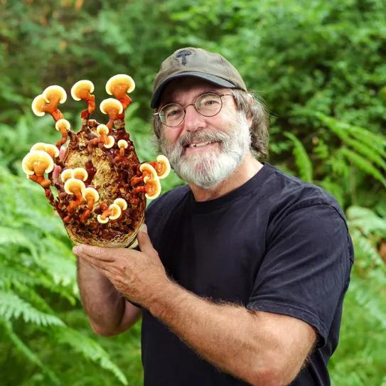 Setas psicodélicas y nutritivas para conquistar el futuro de Marte 