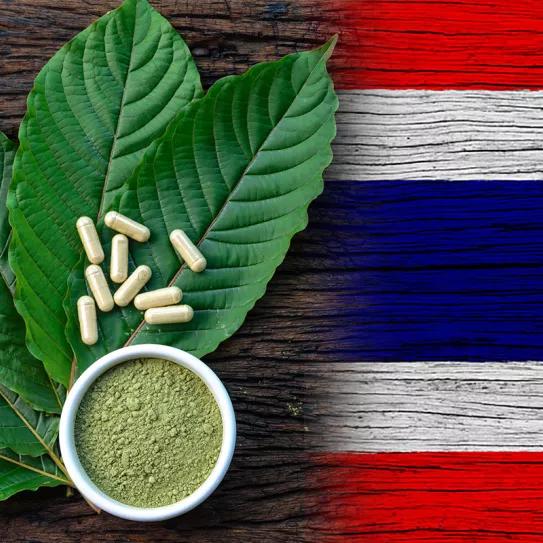 La despenalización del kratom en Tailandia entra en vigor