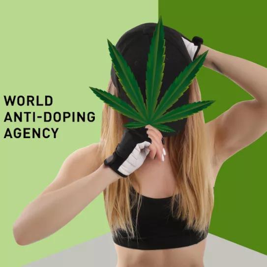 La Agencia Mundial Antidopaje reconsiderará la prohibición de la marihuana en el deporte