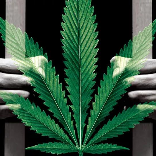 150 famosos atletas, políticos y artistas de EE UU piden a Biden el indulto para los presos por marihuana