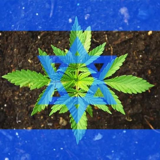 El Parlamento de Israel aprueba un proyecto para permitir el autocultivo medicinal a los pacientes