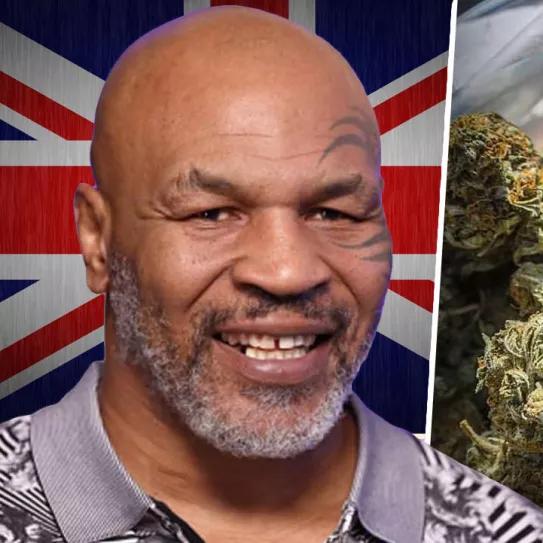 Mike Tyson recomienda a Reino Unido legalizar el cannabis 