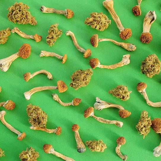 Una cuarta ciudad de Massachusetts se suma a la reforma de las drogas