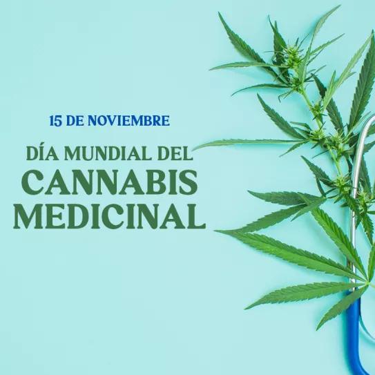 Hoy, en el Día Mundial del Cannabis Medicinal, los pacientes siguen perseguidos por la justicia