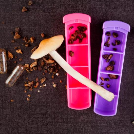 Canadá permite a otros tres pacientes acceder a tratamientos con psilocibina