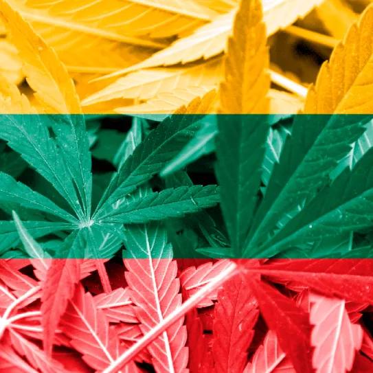 Lituania no ha despenalizado la posesión de drogas