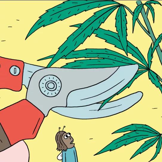 Siete técnicas para podar las plantas en interior